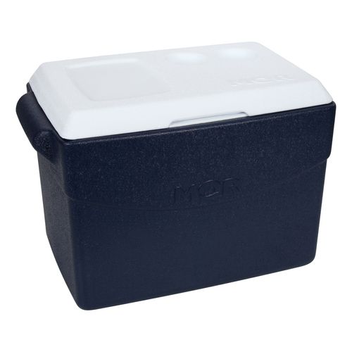 Conservadora Heladerita Portatil Playa Camping 26 L Mor