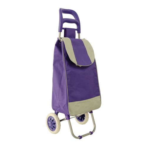 Chango Carro Carrito De Compras Changuito Lona Con Ruedas